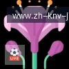 jiuyou九游娱乐 logo